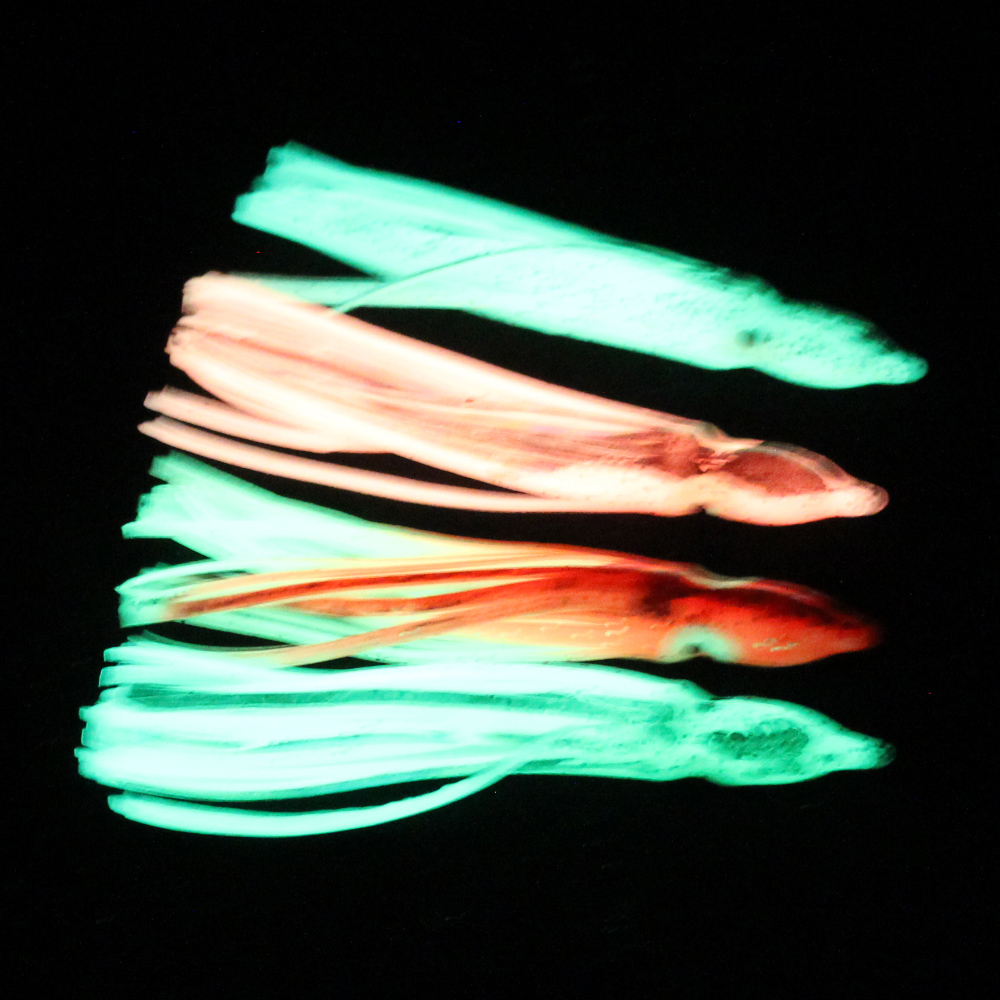 10 Peças Iscas Artificiais de  - Fishing Lure Buzzbait avaliação e preço